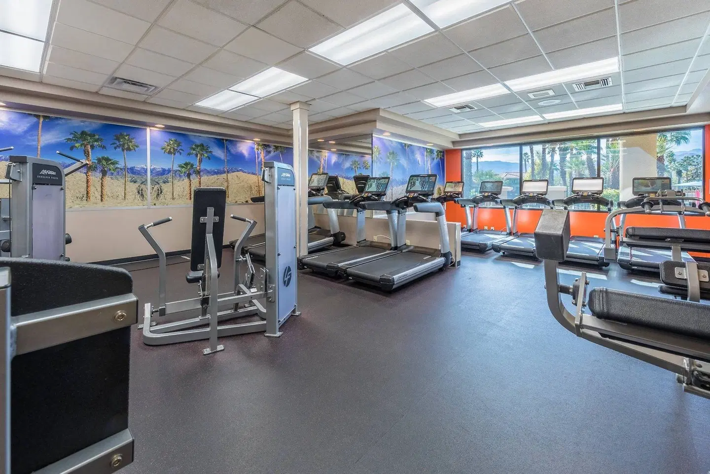 Marriott's Desert Springs Villas I SPORTS_AND_LEISURE