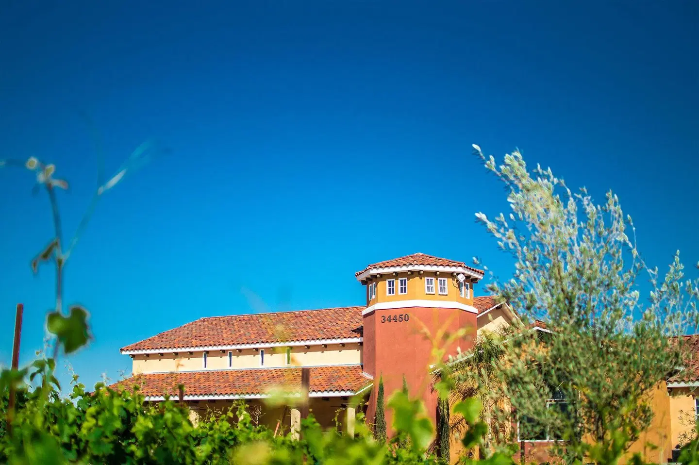 Carter Estate Winery and Resort EXTERIOR