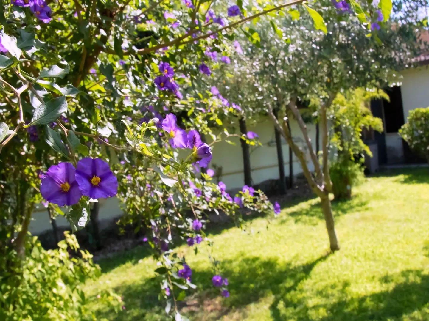 A Casa tua Ostia Antica Garten