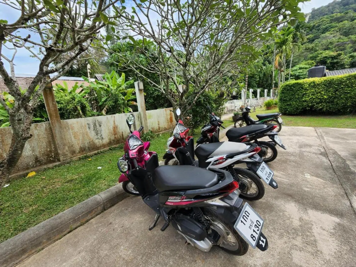 Lanta Mermaid Boutique House Garten