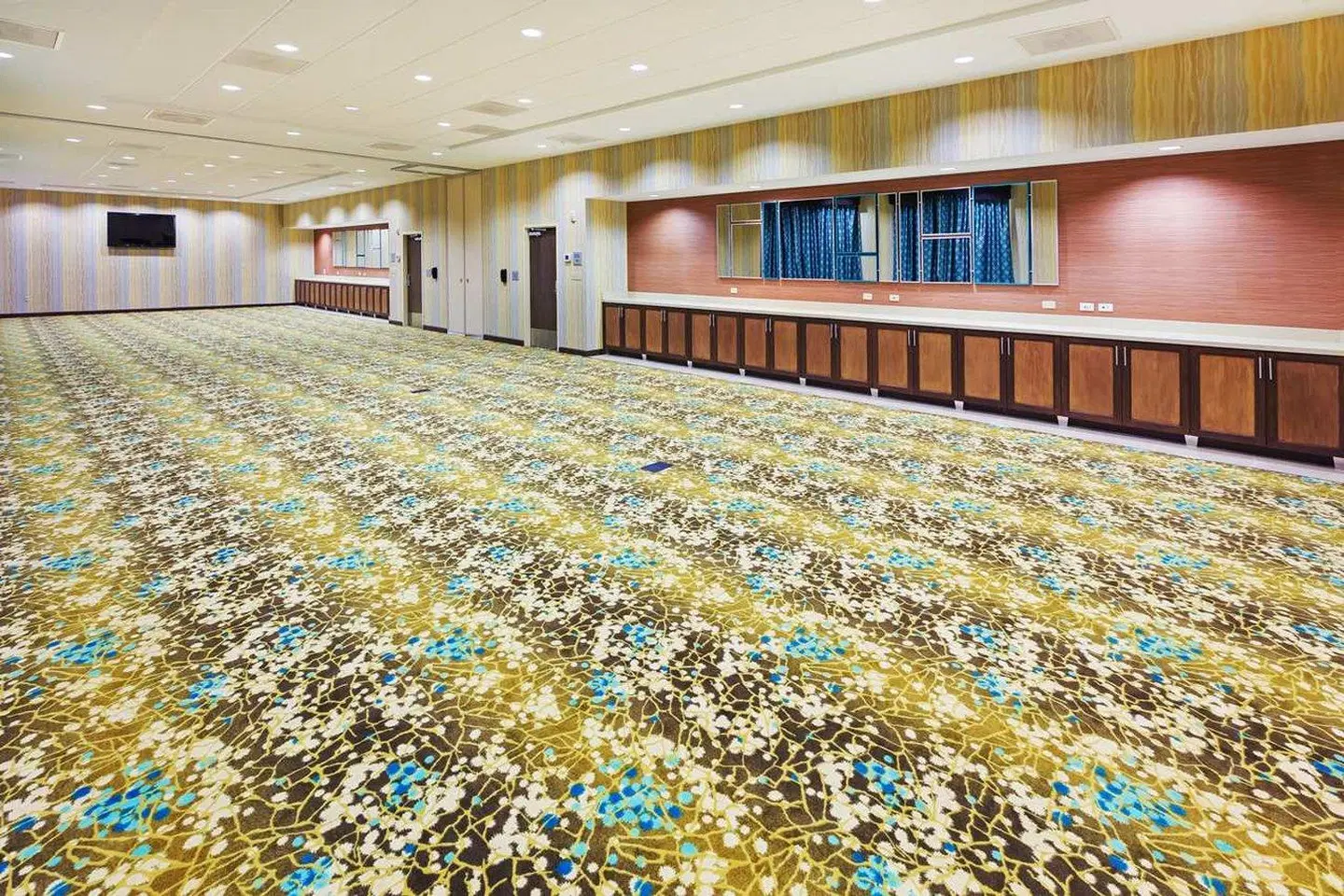 Hampton Inn Austin/Oak Hill Konferenz