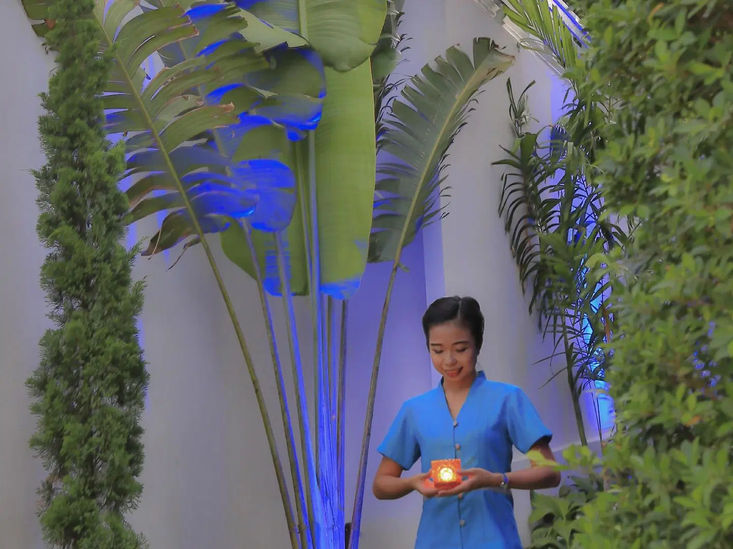 Samui Blue Orchid PEOPLE