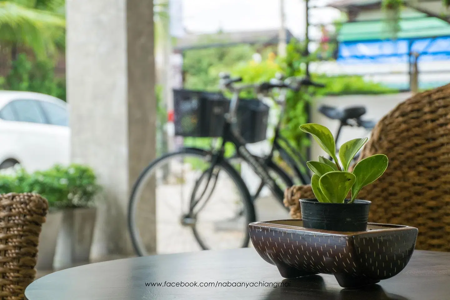 Na BaanYa Chiang Mai LOUNGE_LOBBY