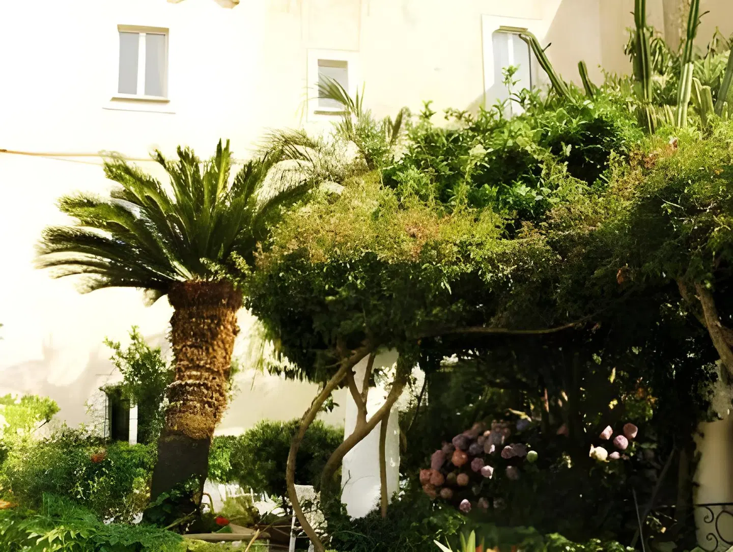 B&B MilleQuattrocento Garten