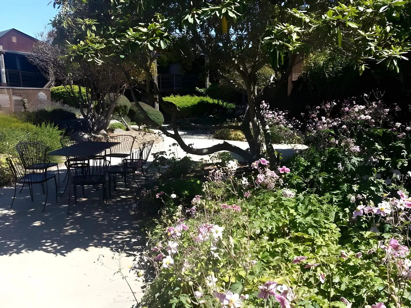 Harbor Lite Lodge Garten