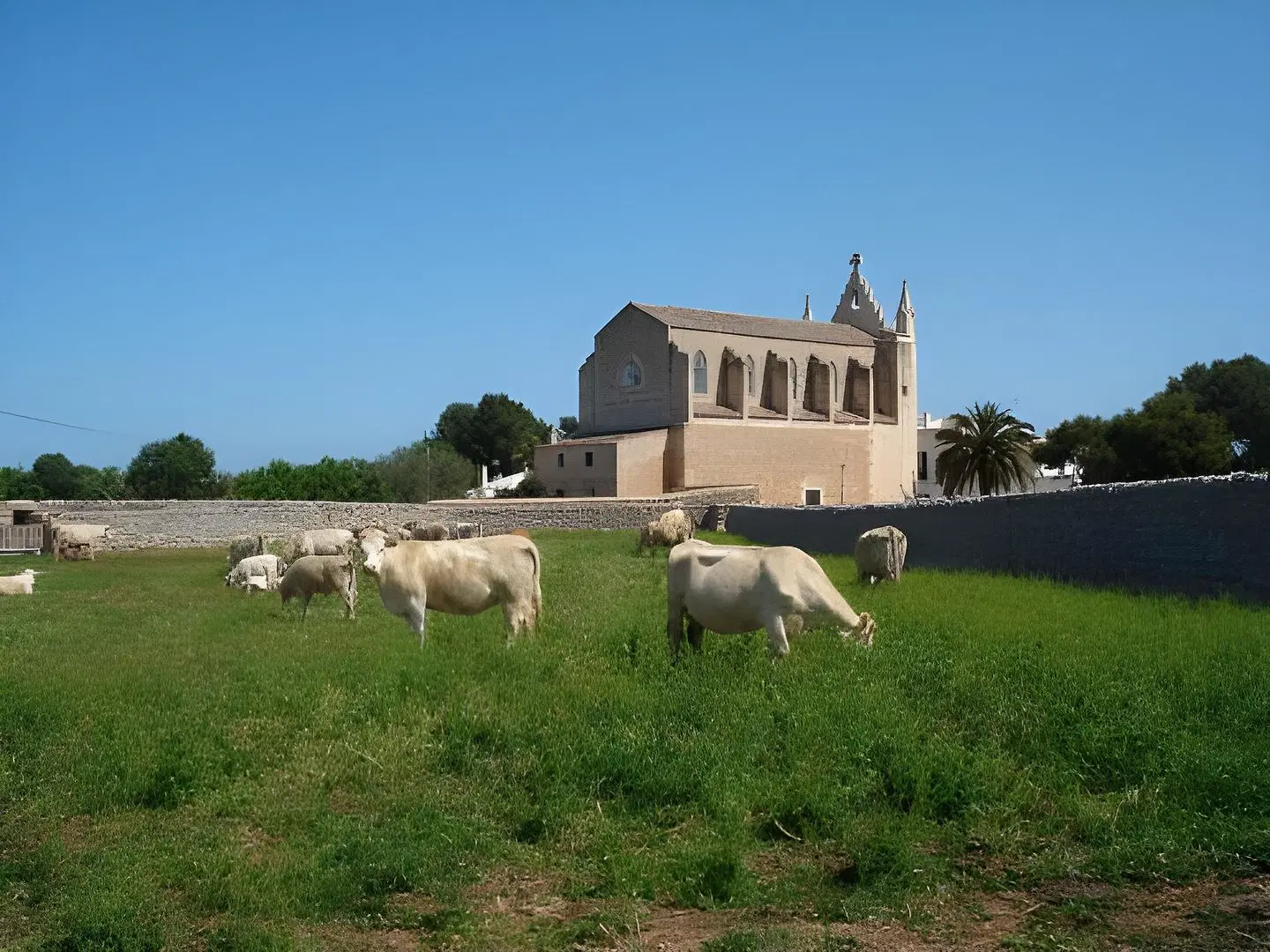 Finca Agroturismo Llucmacanes Gran Tiere