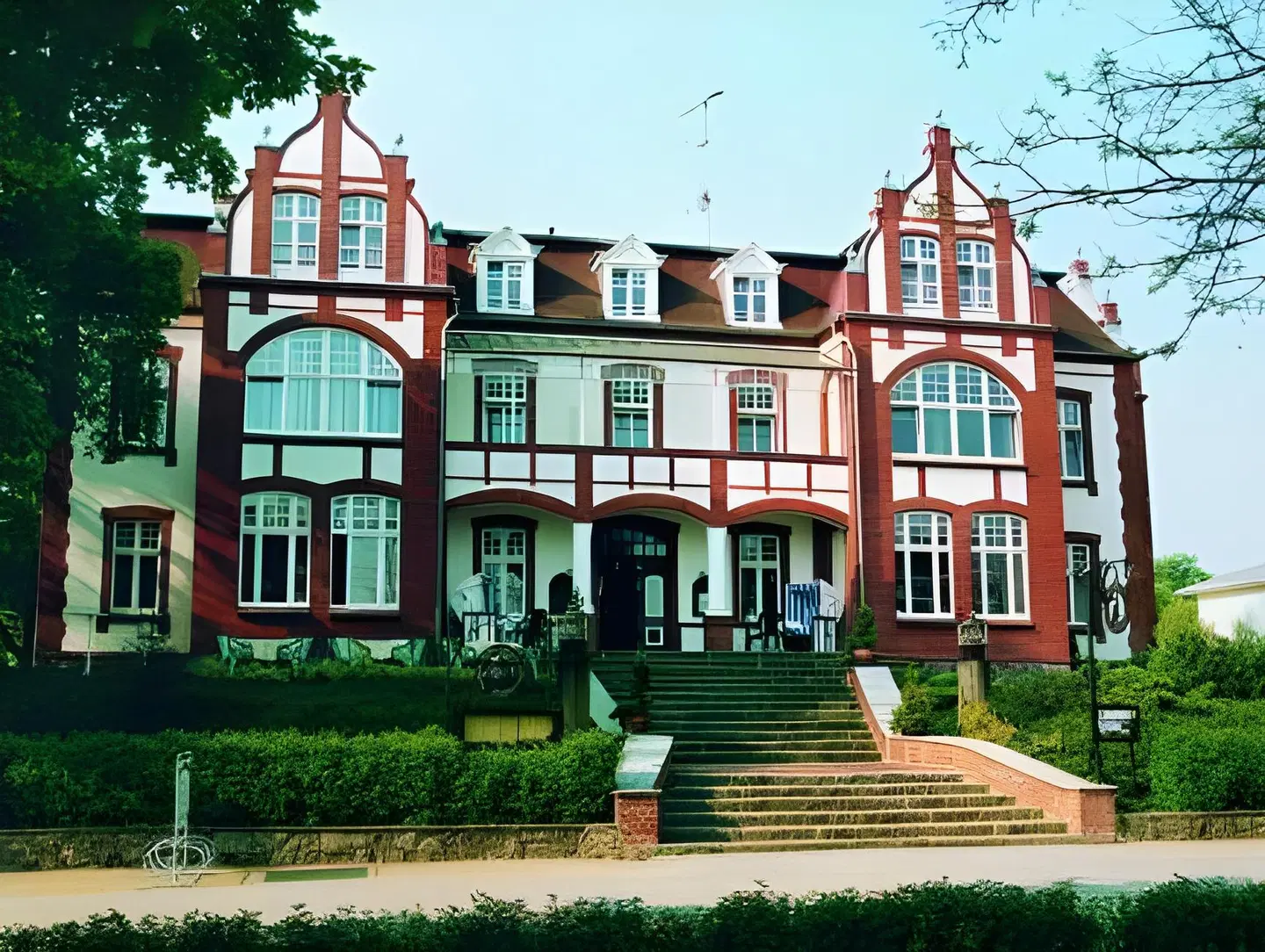 Kormoran EXTERIOR
