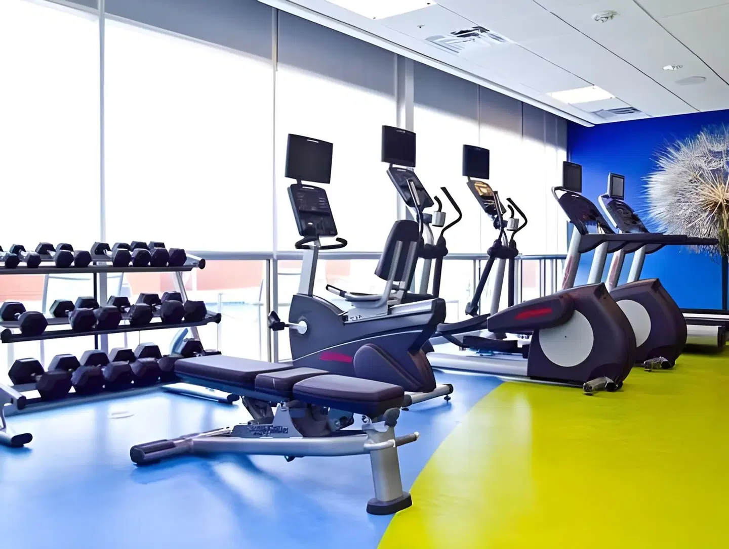 SpringHill Suites by Marriott Dallas Richardson/Plano SPORTS_AND_LEISURE