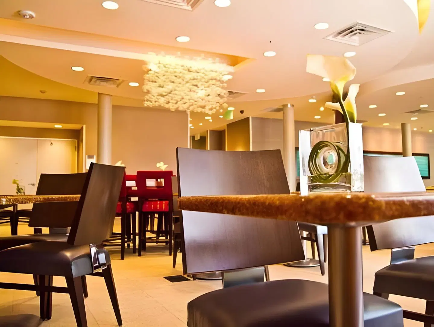 SpringHill Suites by Marriott Dallas Richardson/Plano Bar