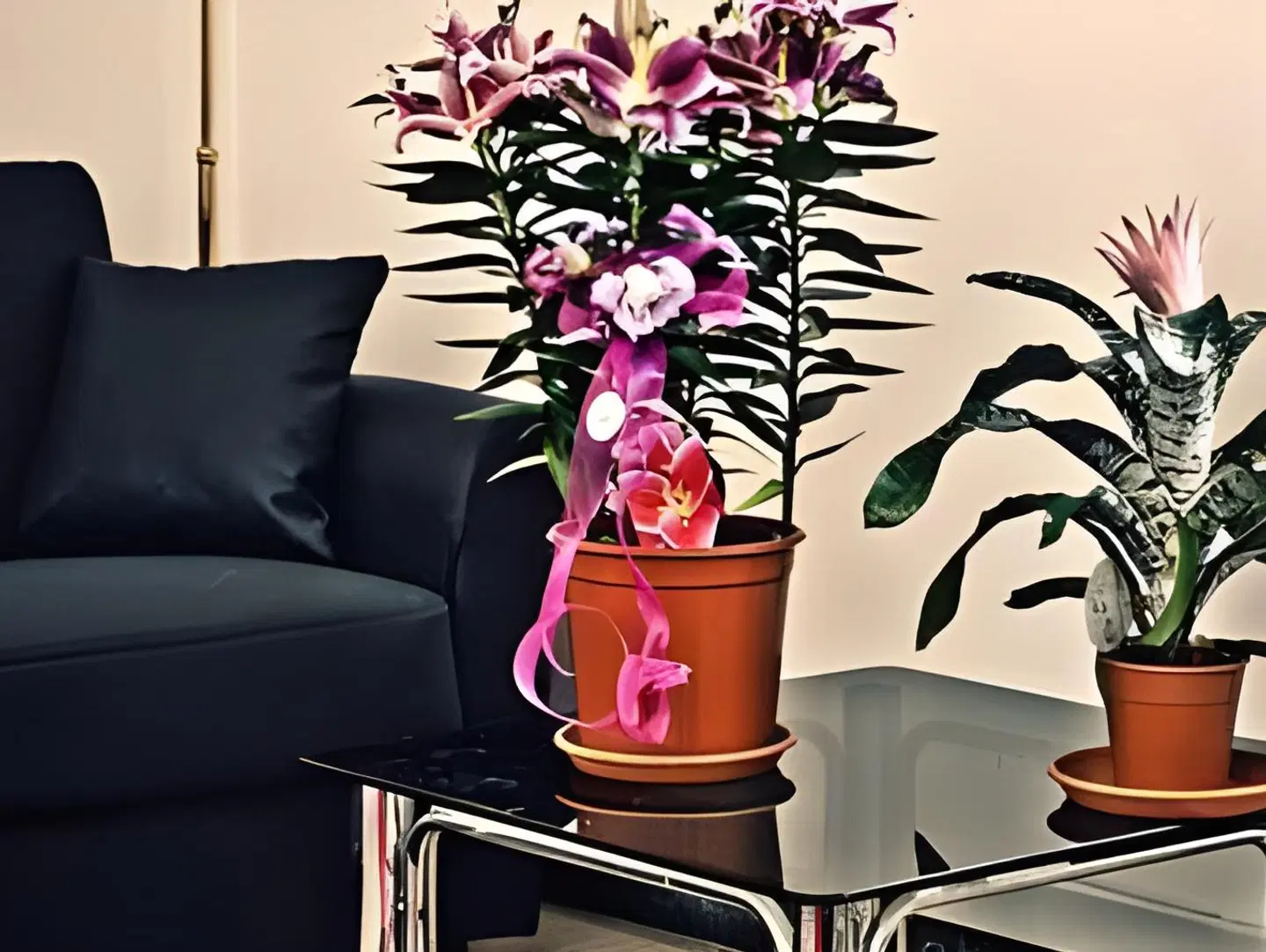 Vatican Paradise LOUNGE_LOBBY