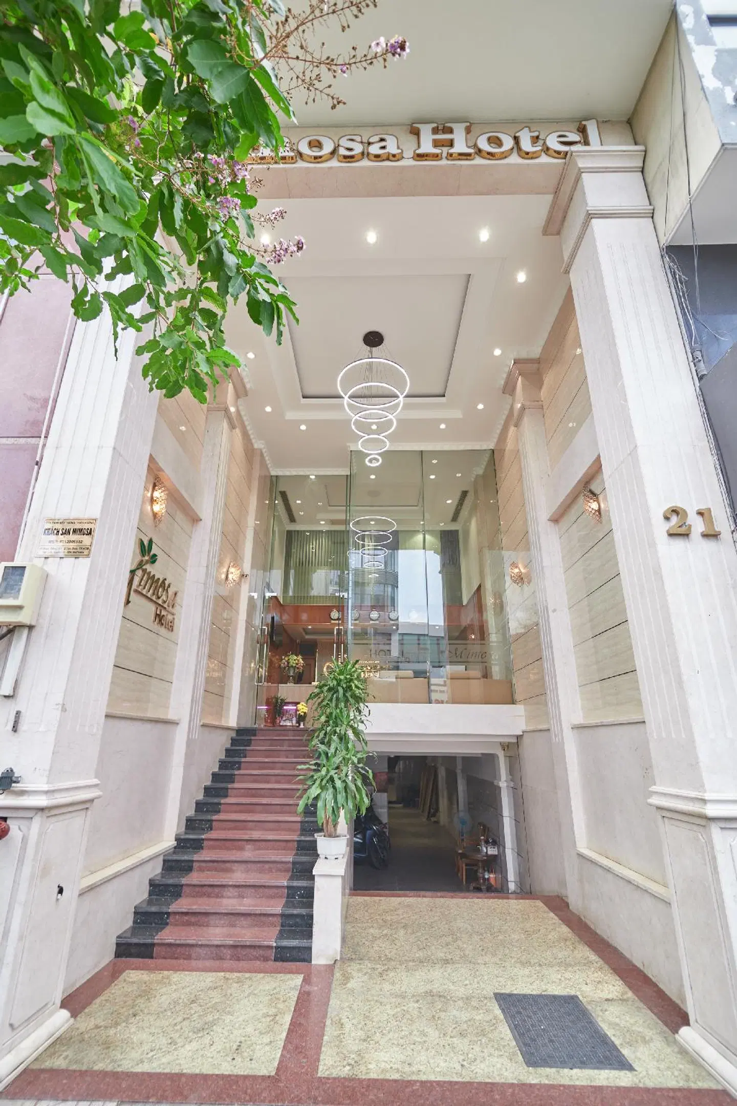 Mimosa Hotel LOUNGE_LOBBY
