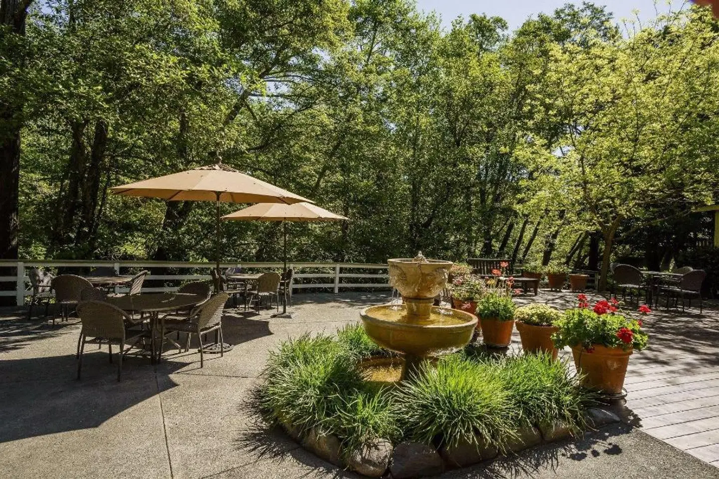 The Jack London Lodge Terrasse