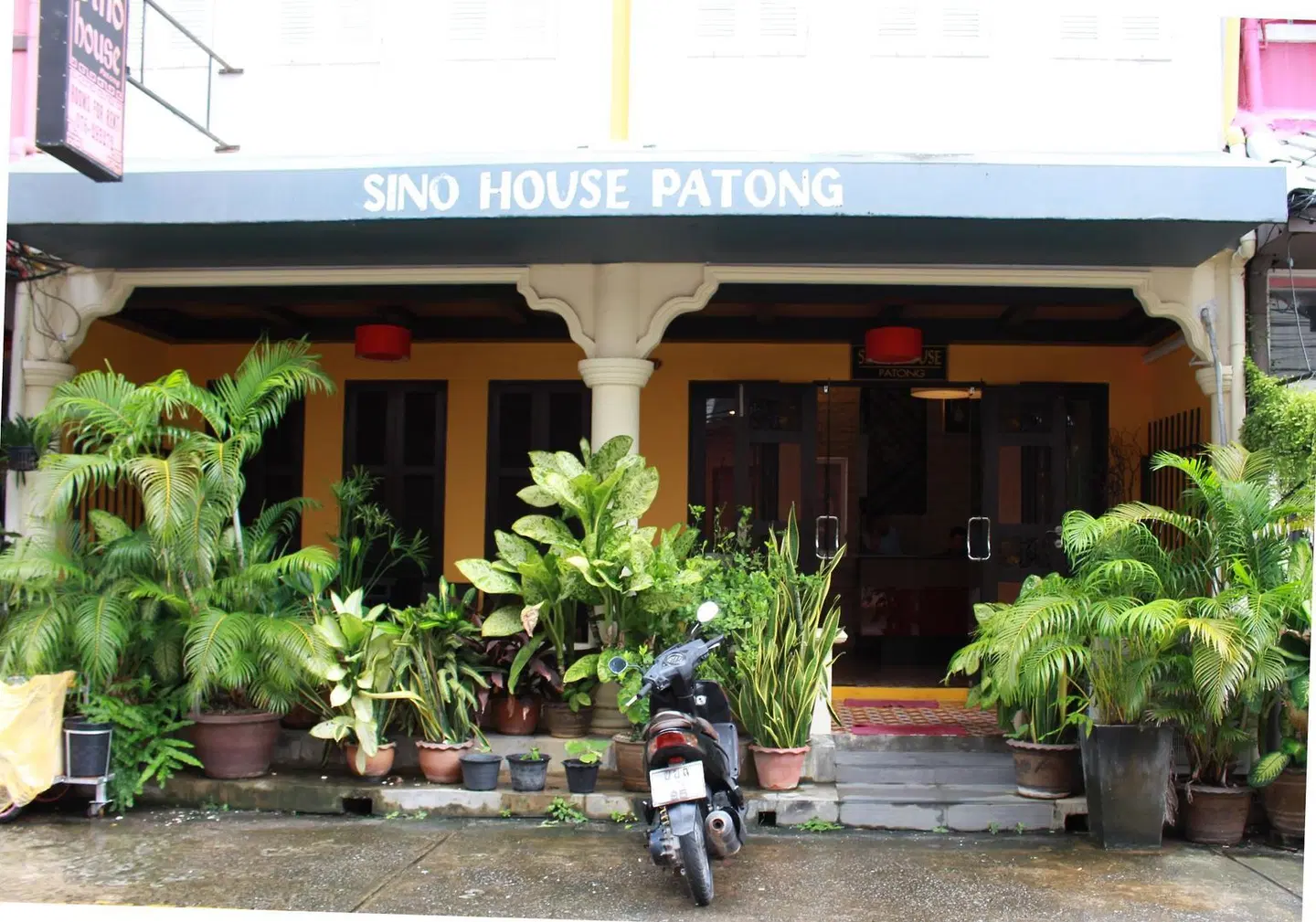 Sino House Patong Garten