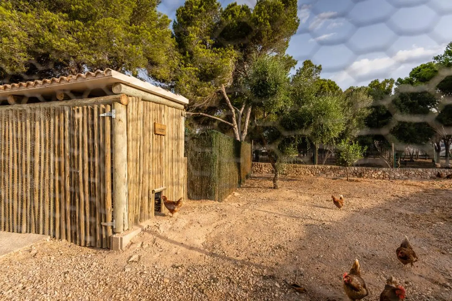 Lago Resort Menorca - Villas & Bungalows del Lago Tiere