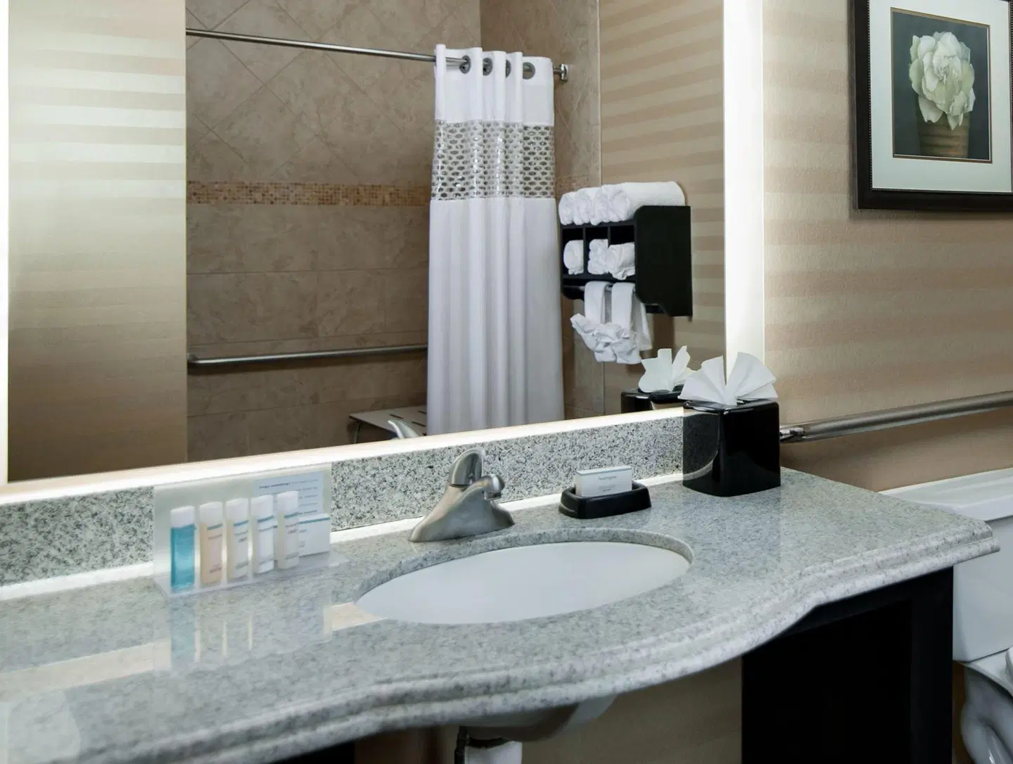 Hampton Inn & Suites Fort Worth-Fossil Creek Badezimmer