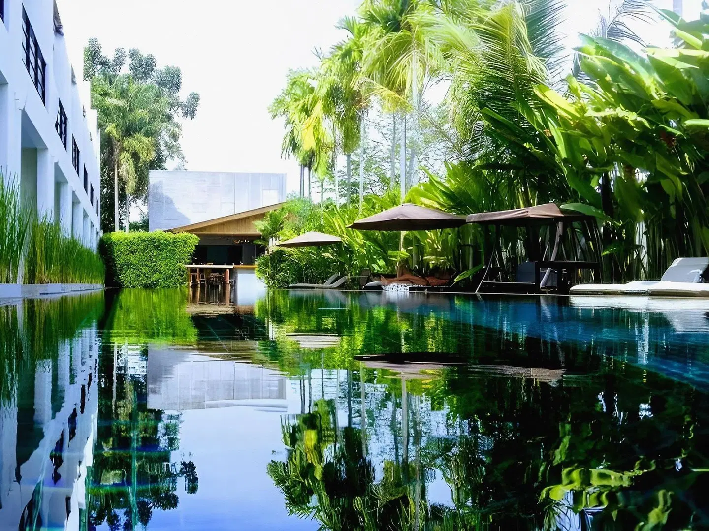Tea Tree Resort OUTDOOR_POOL