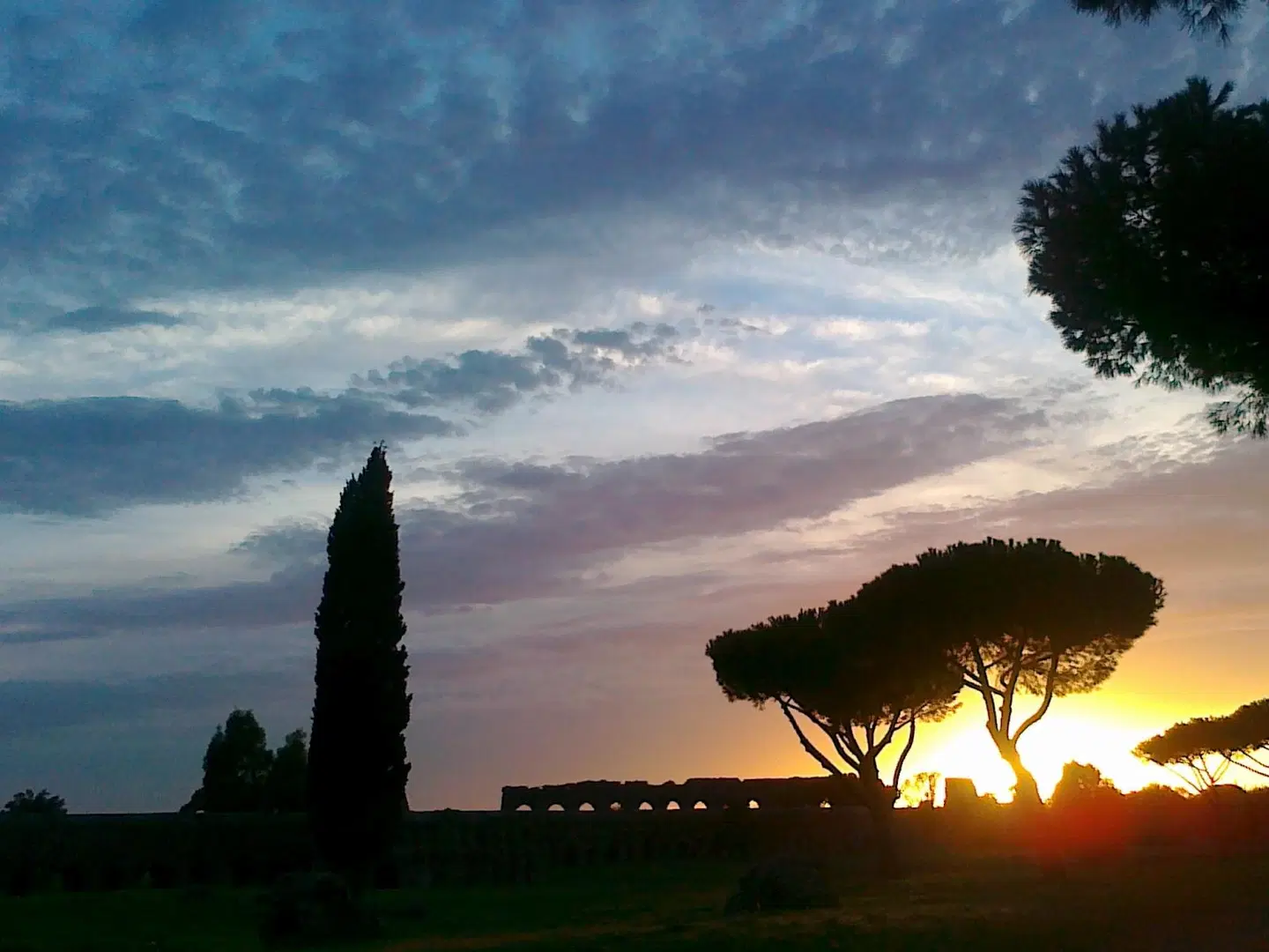Domus Caracalla LANDSCAPE
