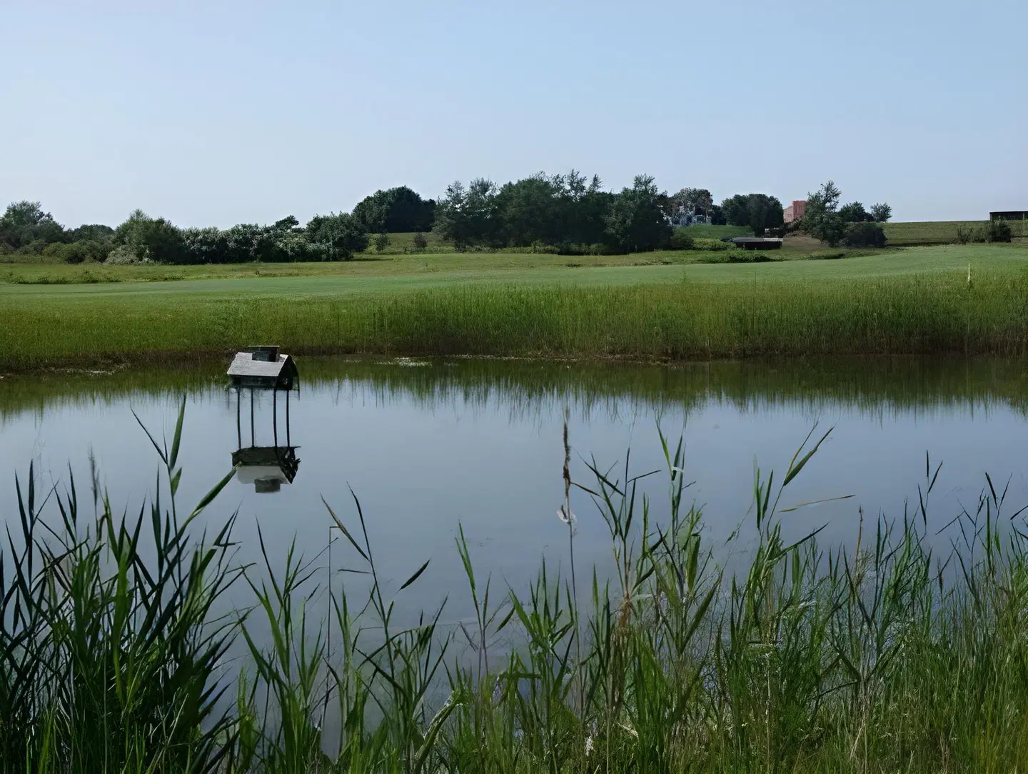 Am Alten Deich LANDSCAPE