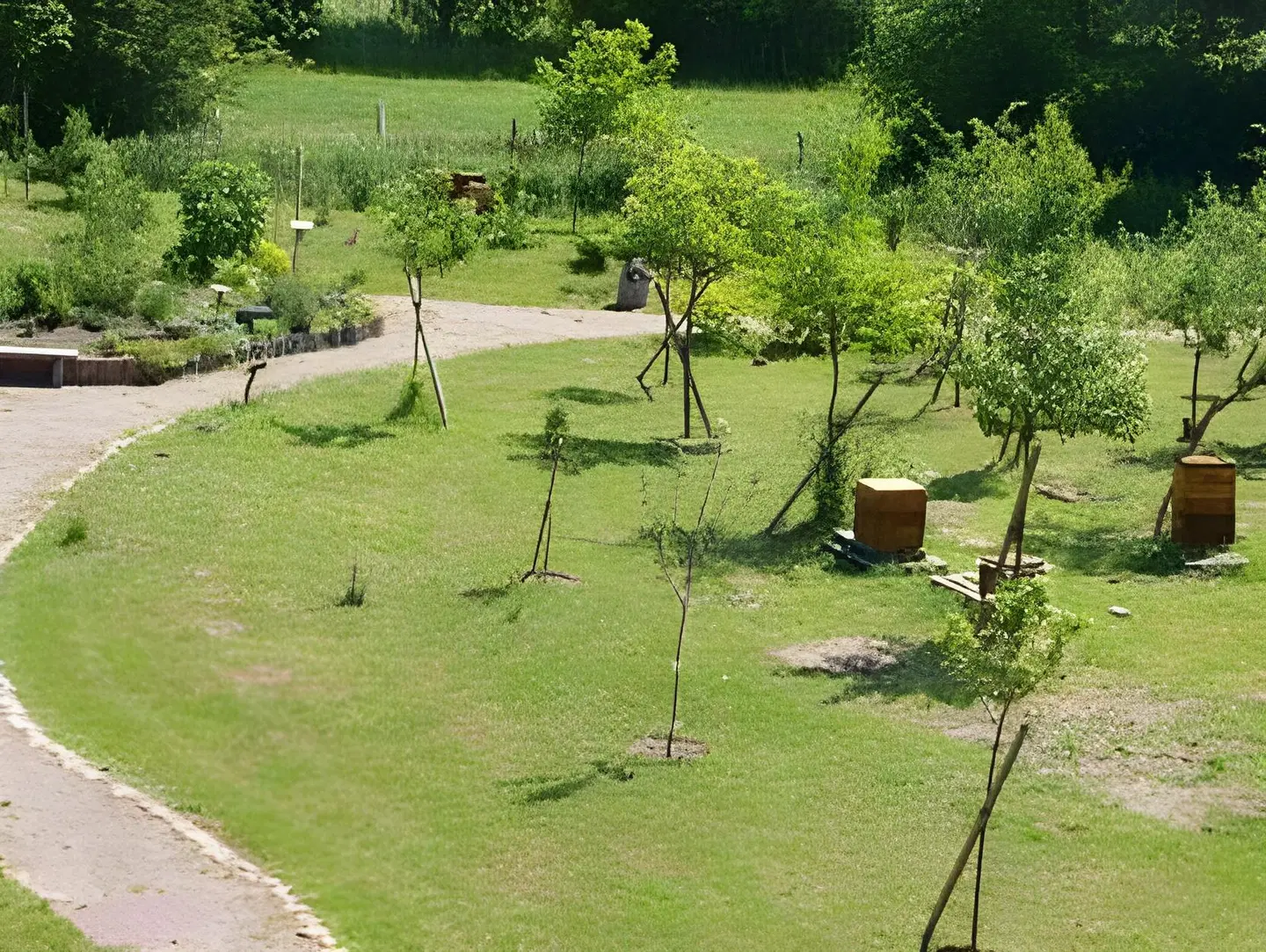 Landhotel zum Honigdieb Garten
