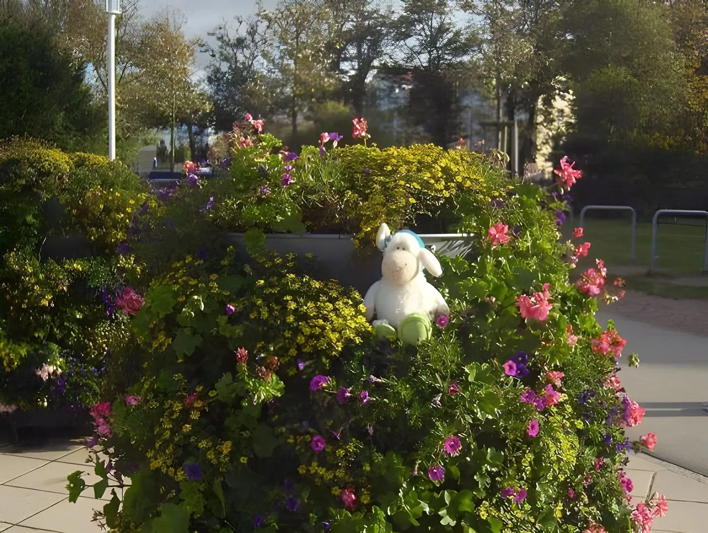 Hotel Ostseestern Garten