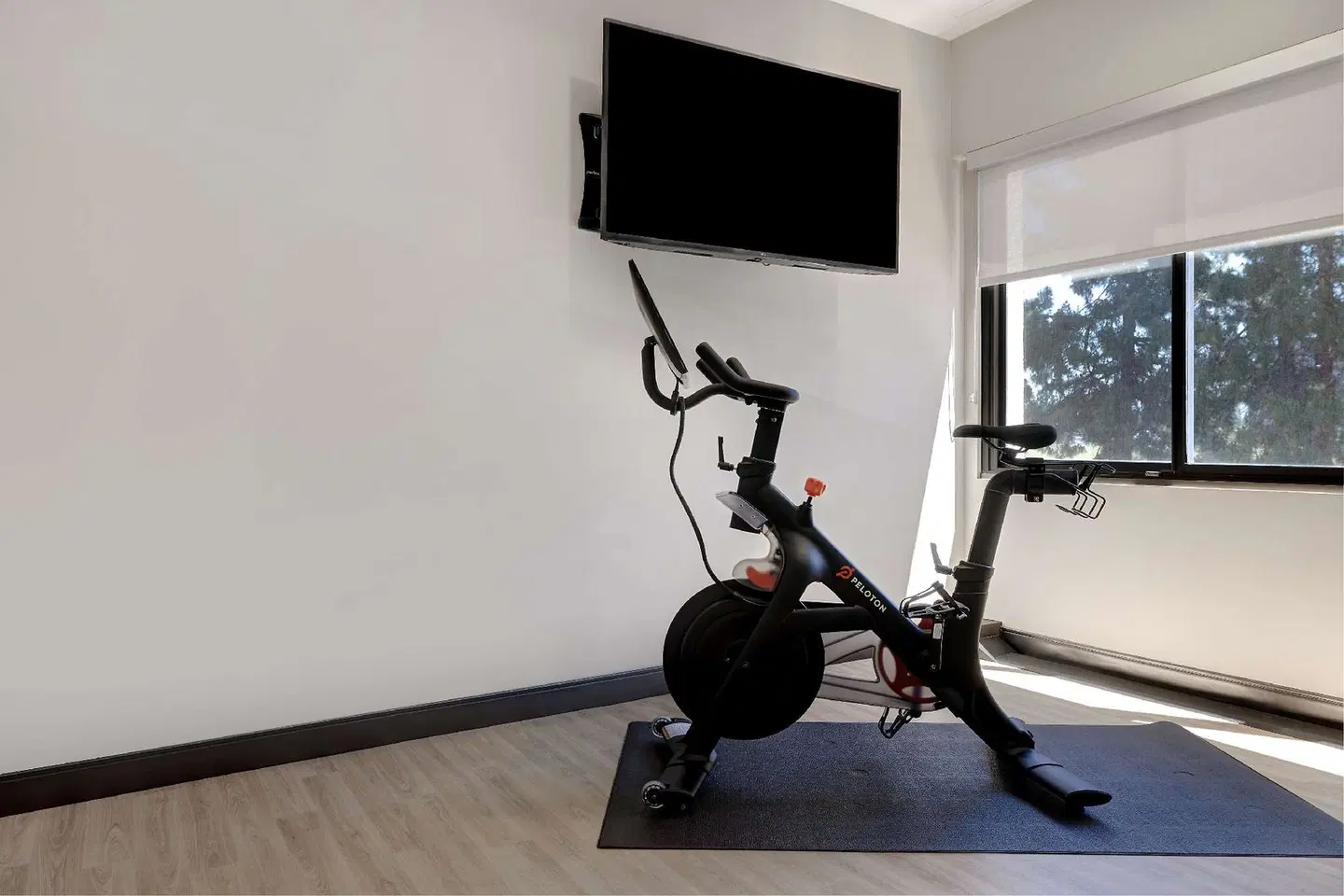 Embassy Suites by Hilton Santa Clara - Silicon Valley SPORTS_AND_LEISURE