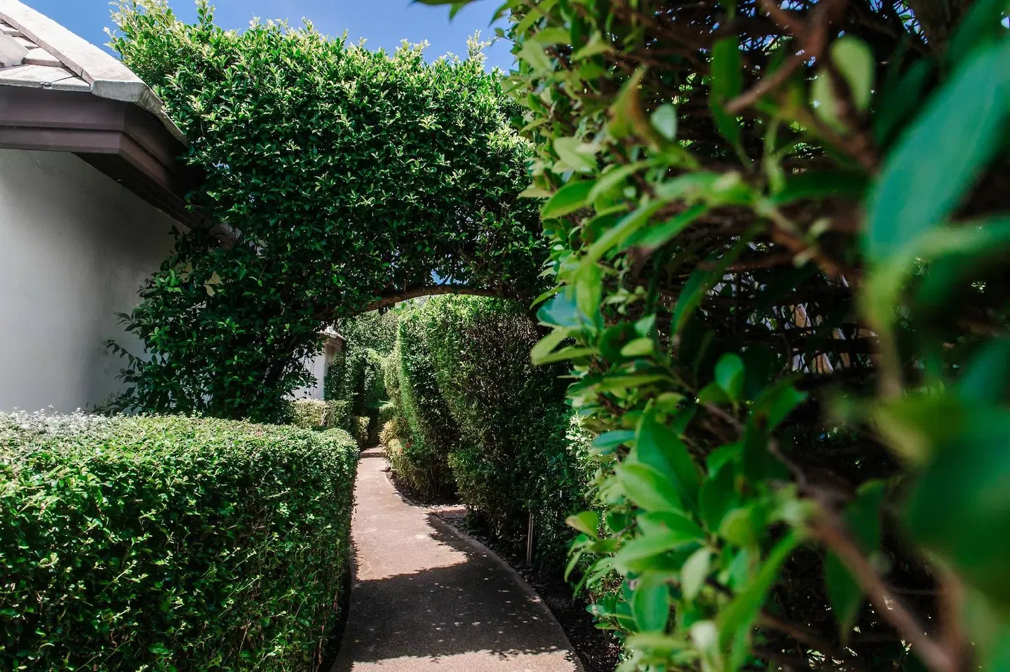 Sea Valley Hotel Garten