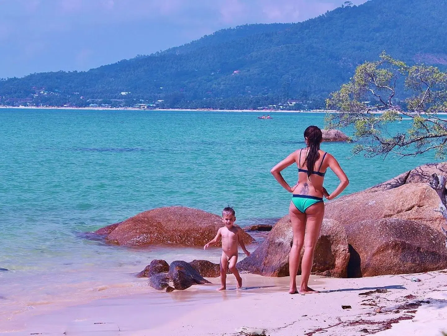 Lamai Bay View Resort Tiere