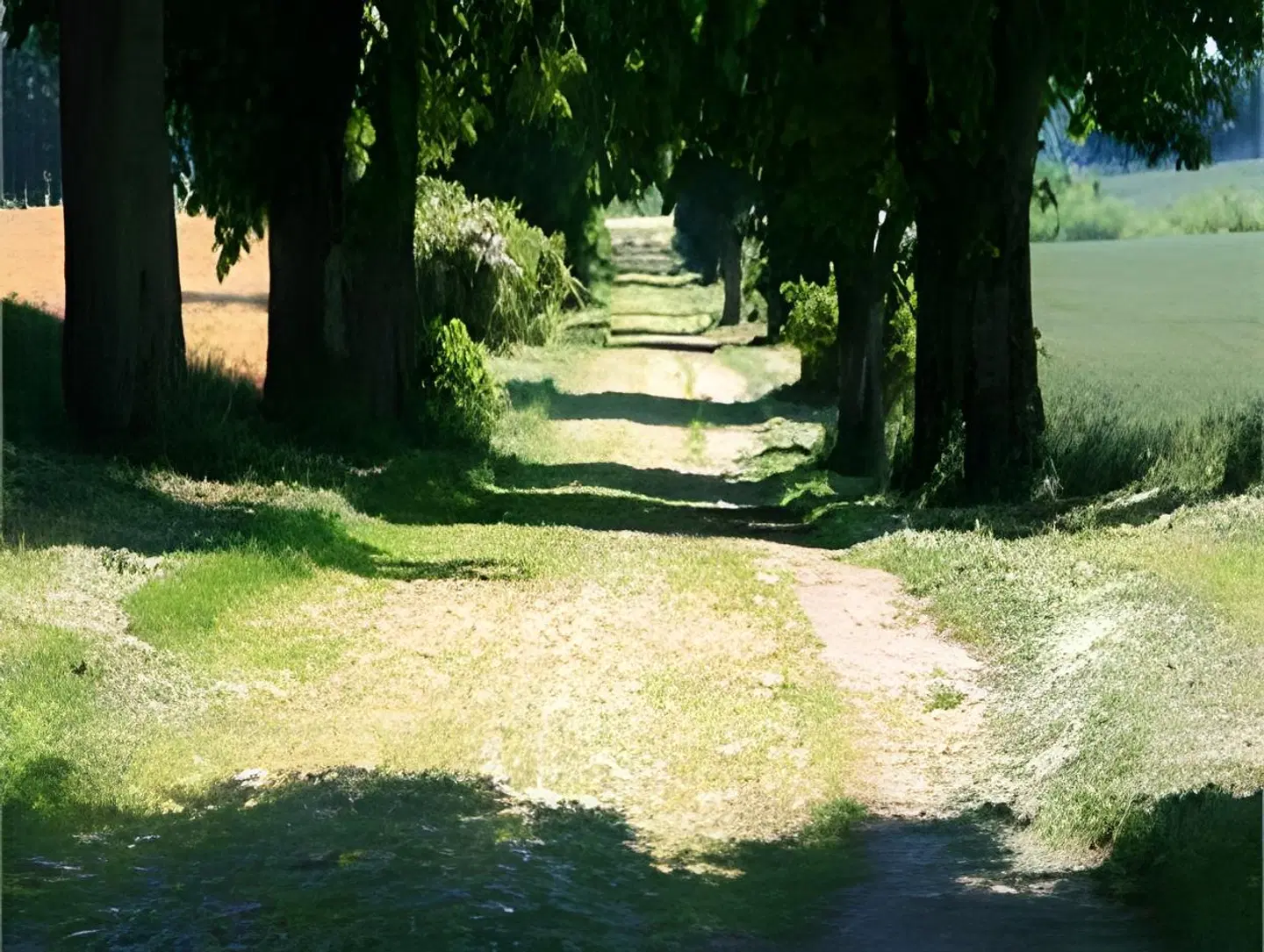 Speicher am Ziegelsee Garten