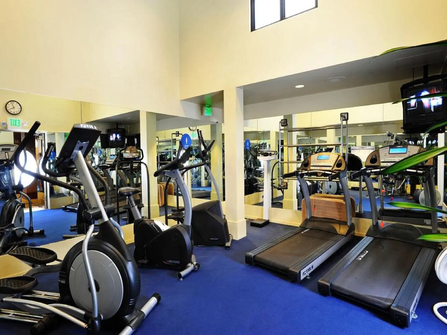 The Donatello SPORTS_AND_LEISURE