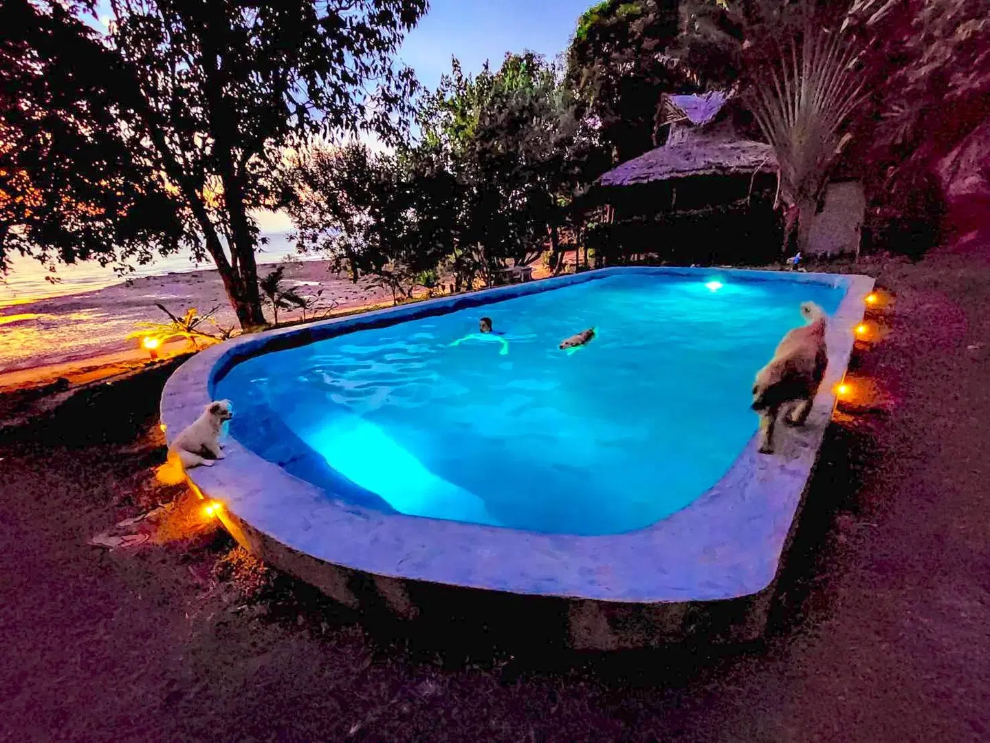 Banyan Bay Villas OUTDOOR_POOL