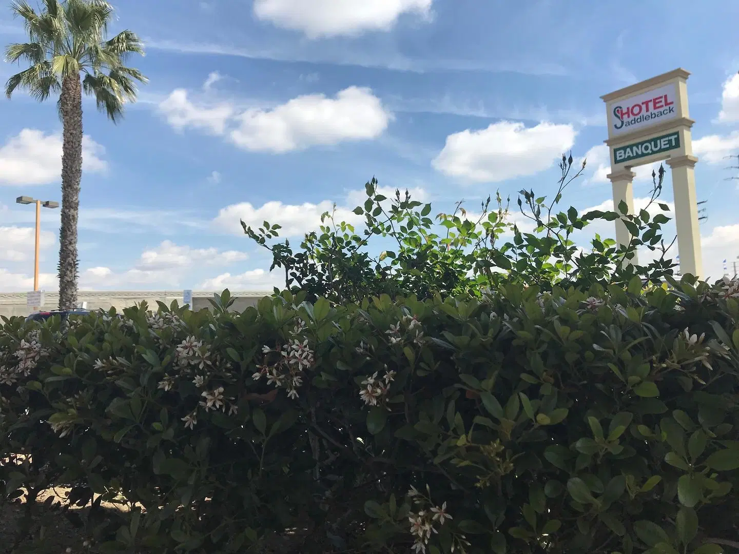Hotel Saddleback LANDSCAPE