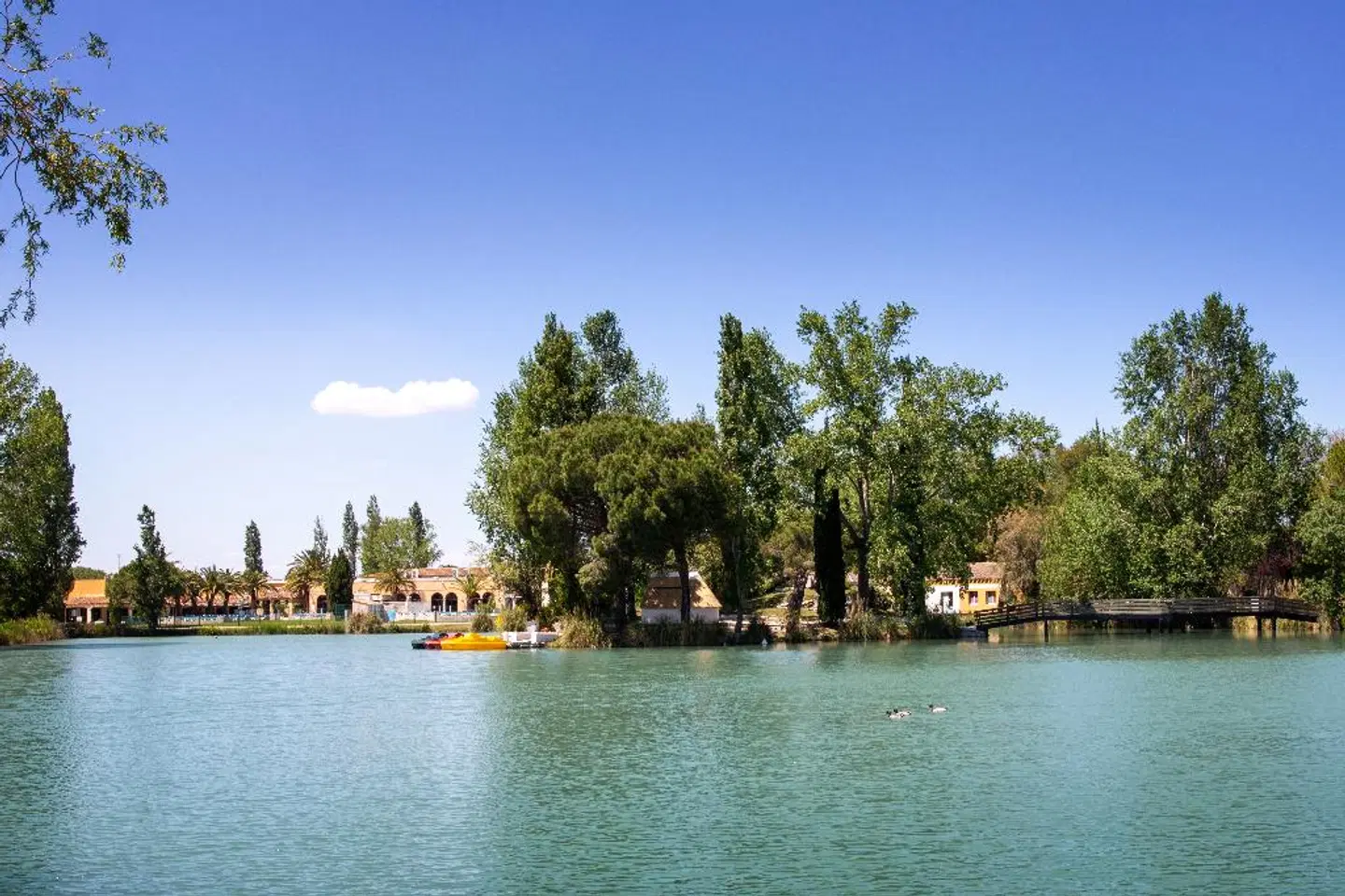 SOWELL Hotels L'Olivier OUTDOOR_POOL