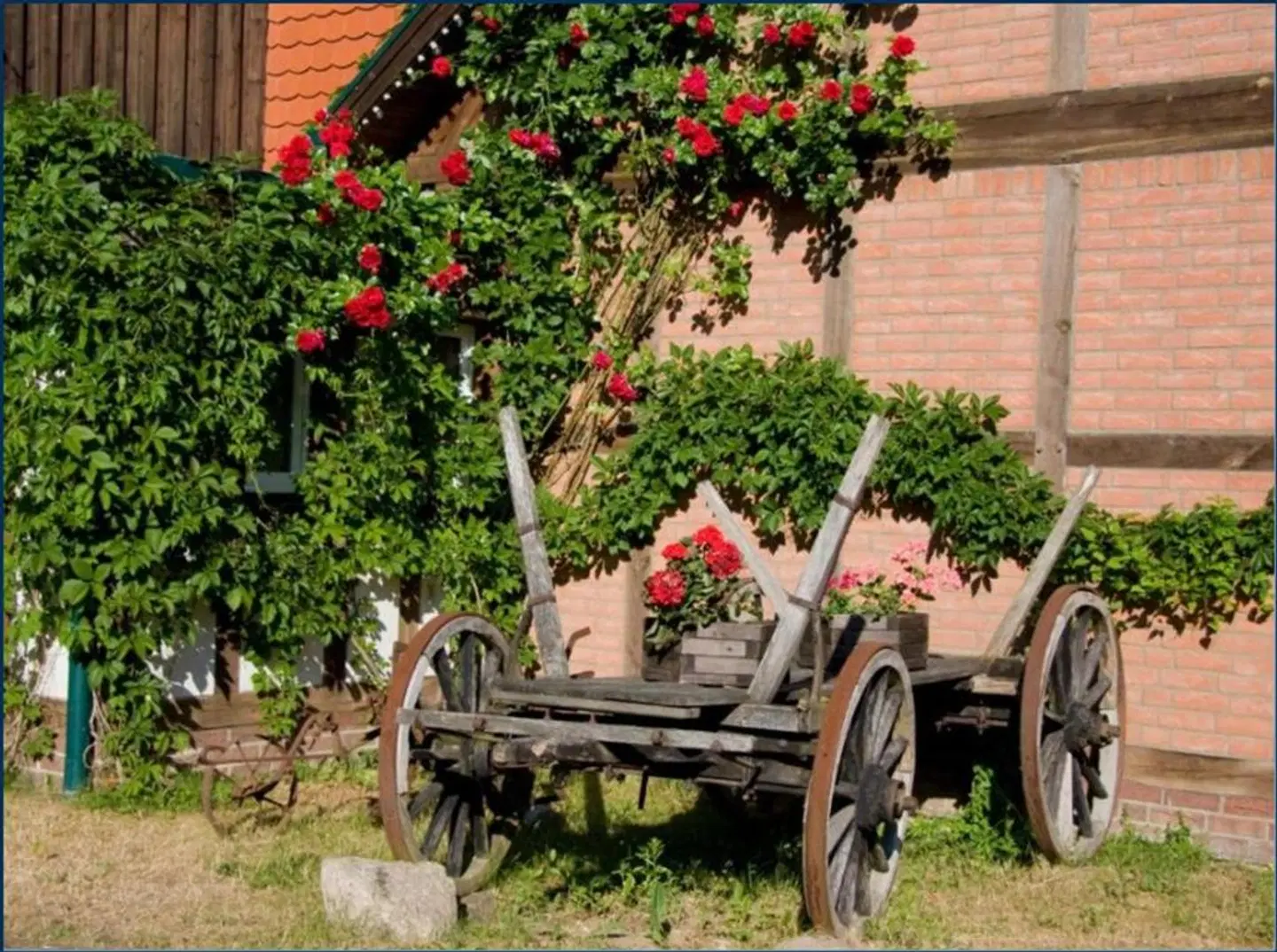 Altes Zollhaus Tiere