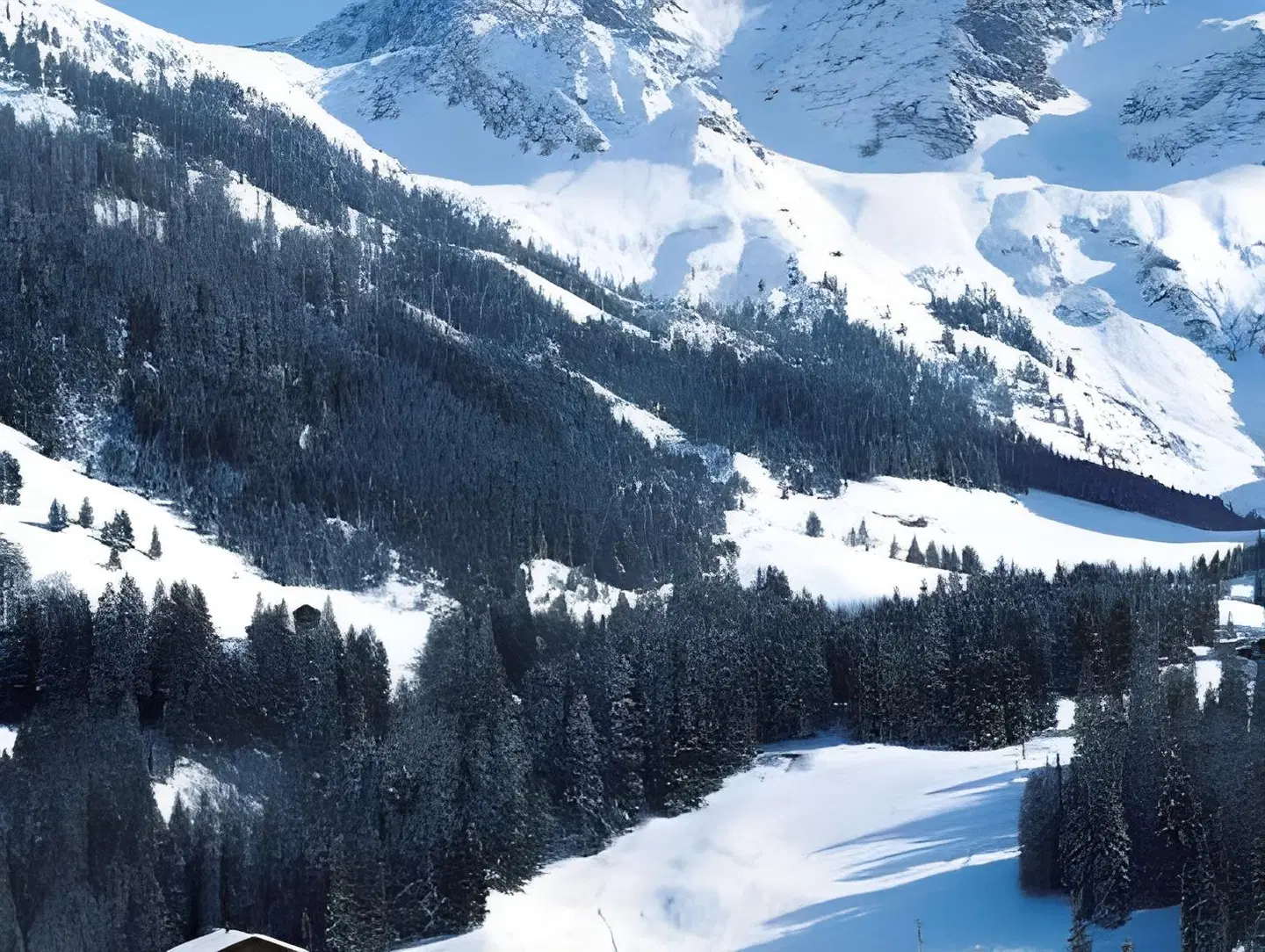 IFA Breitach Apartments Kleinwalsertal LANDSCAPE