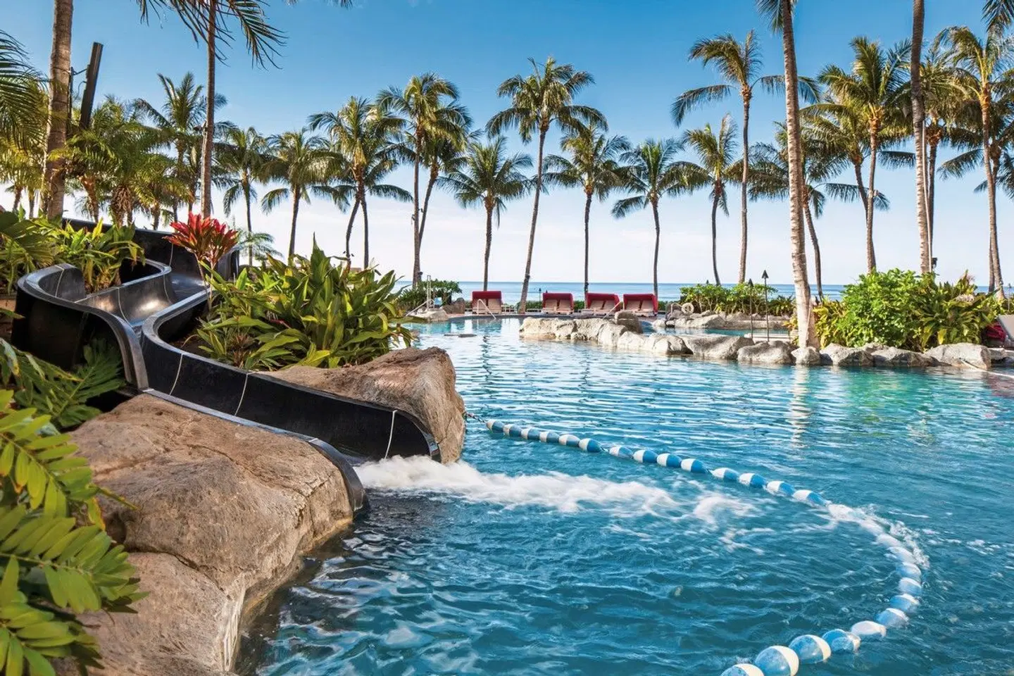 Sheraton Waikiki Beach Resort Tiere