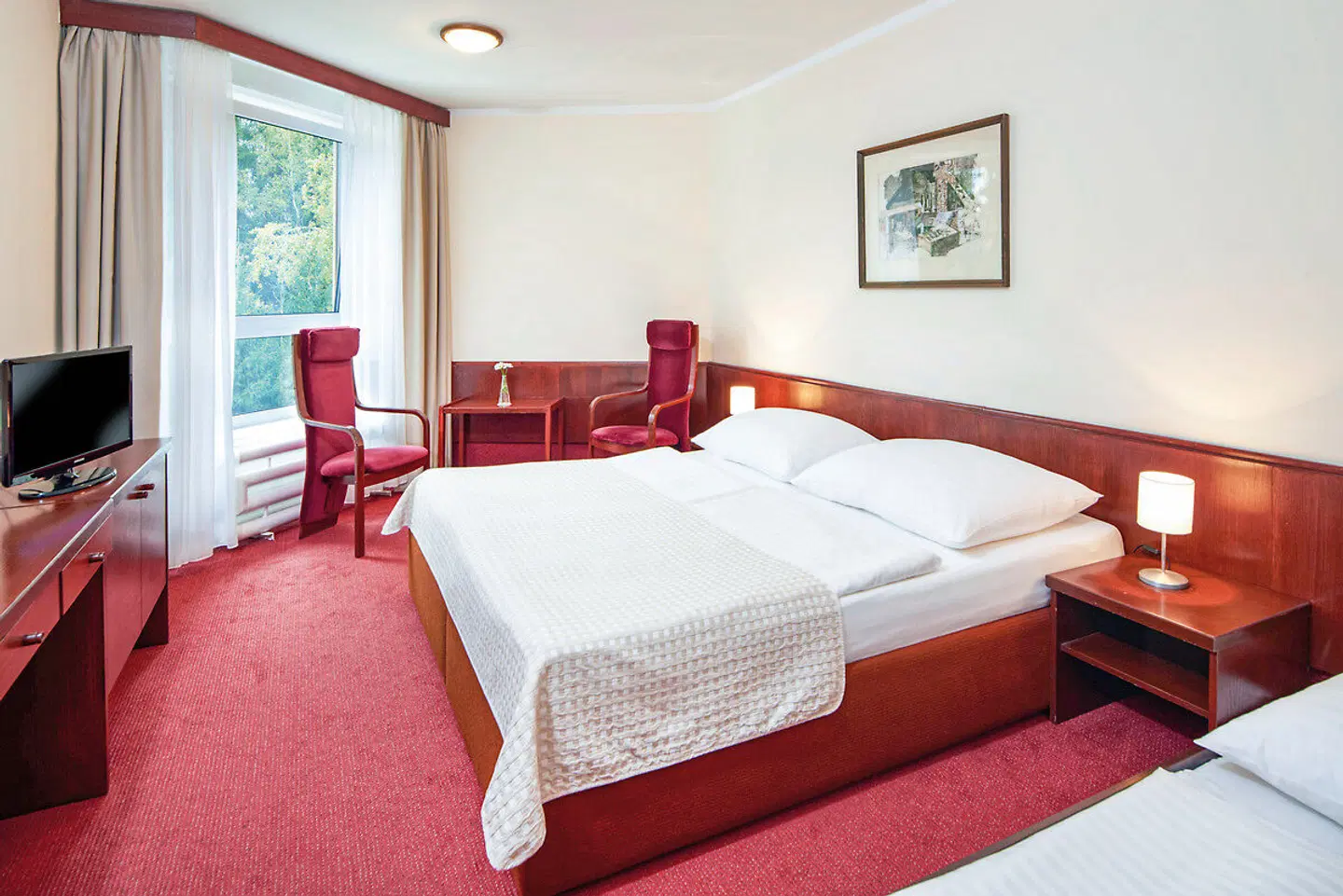 Wellness Hotel Svornost ROOM_EXAMPLE