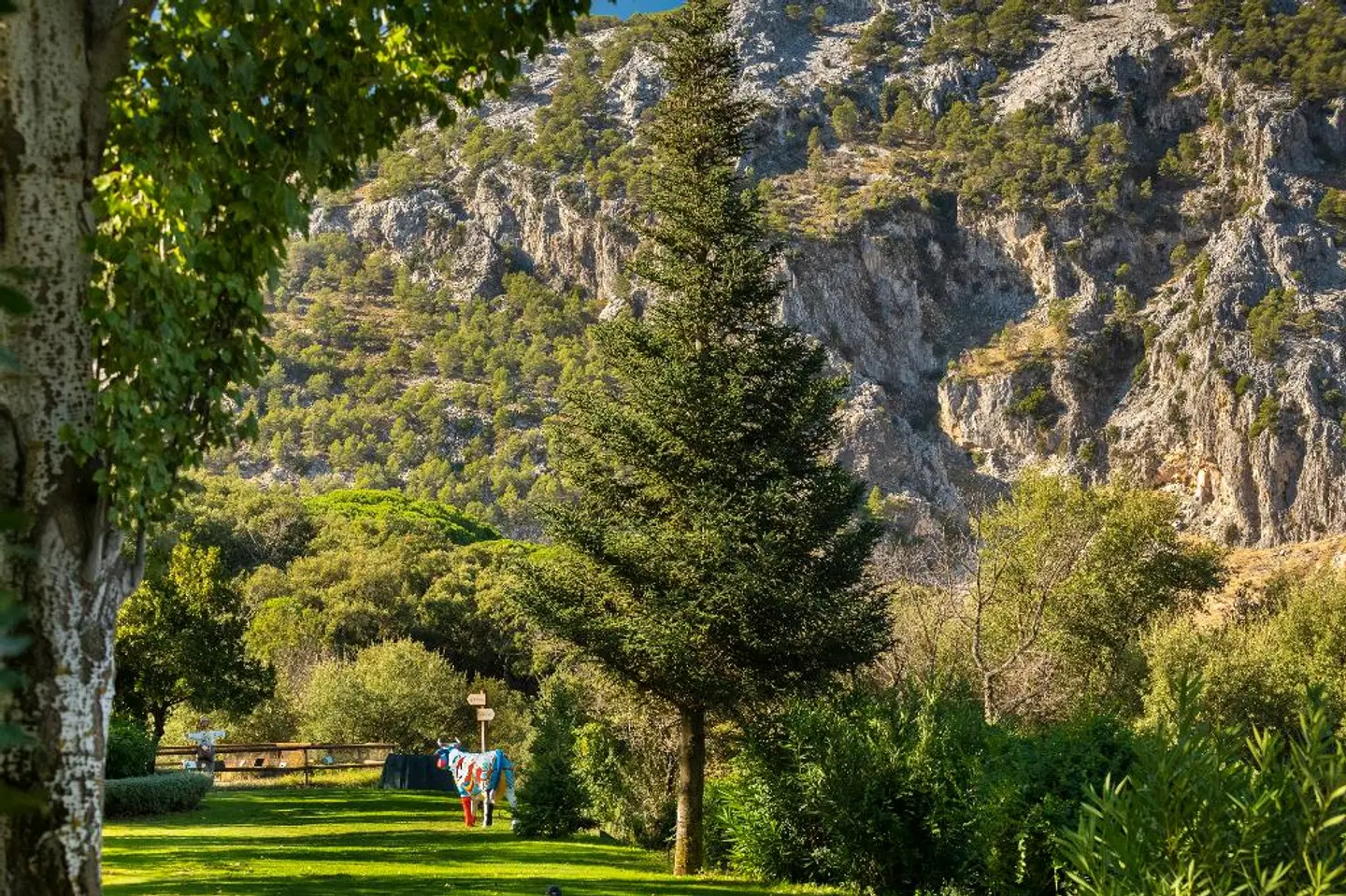 Fuerte Grazalema LANDSCAPE