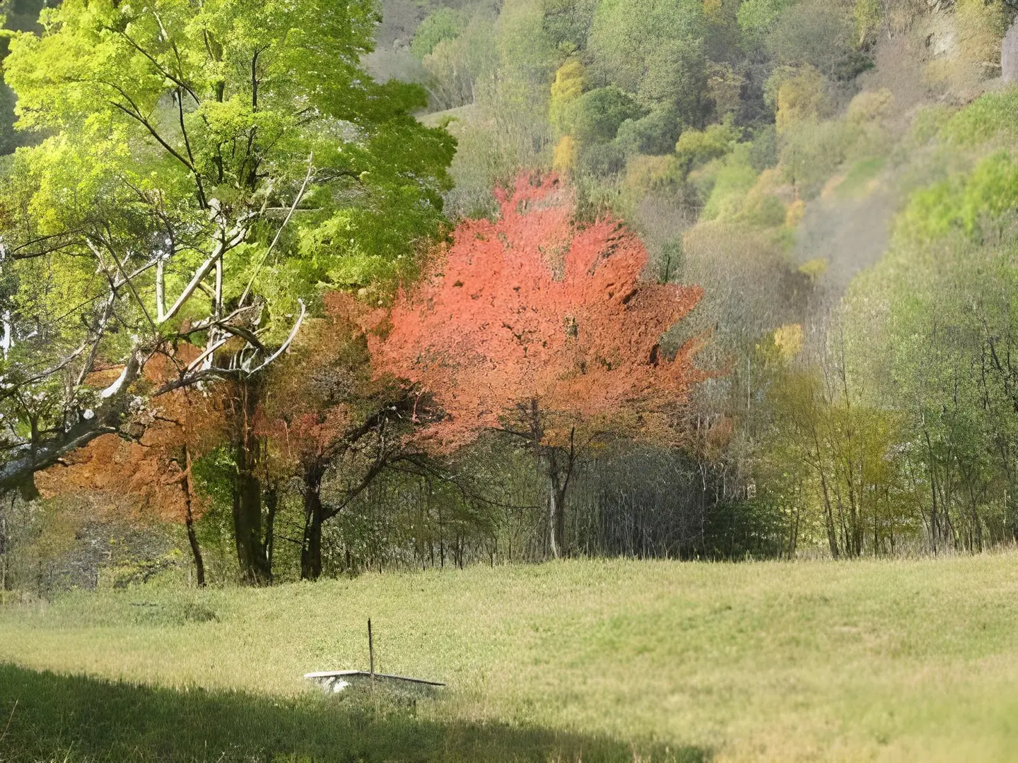 Agriturismo Alagna LANDSCAPE