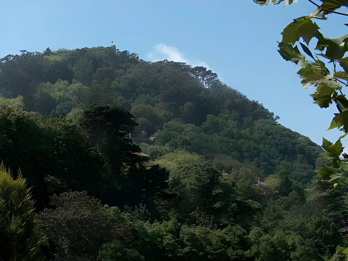 Hotel Sintra Jardim LANDSCAPE