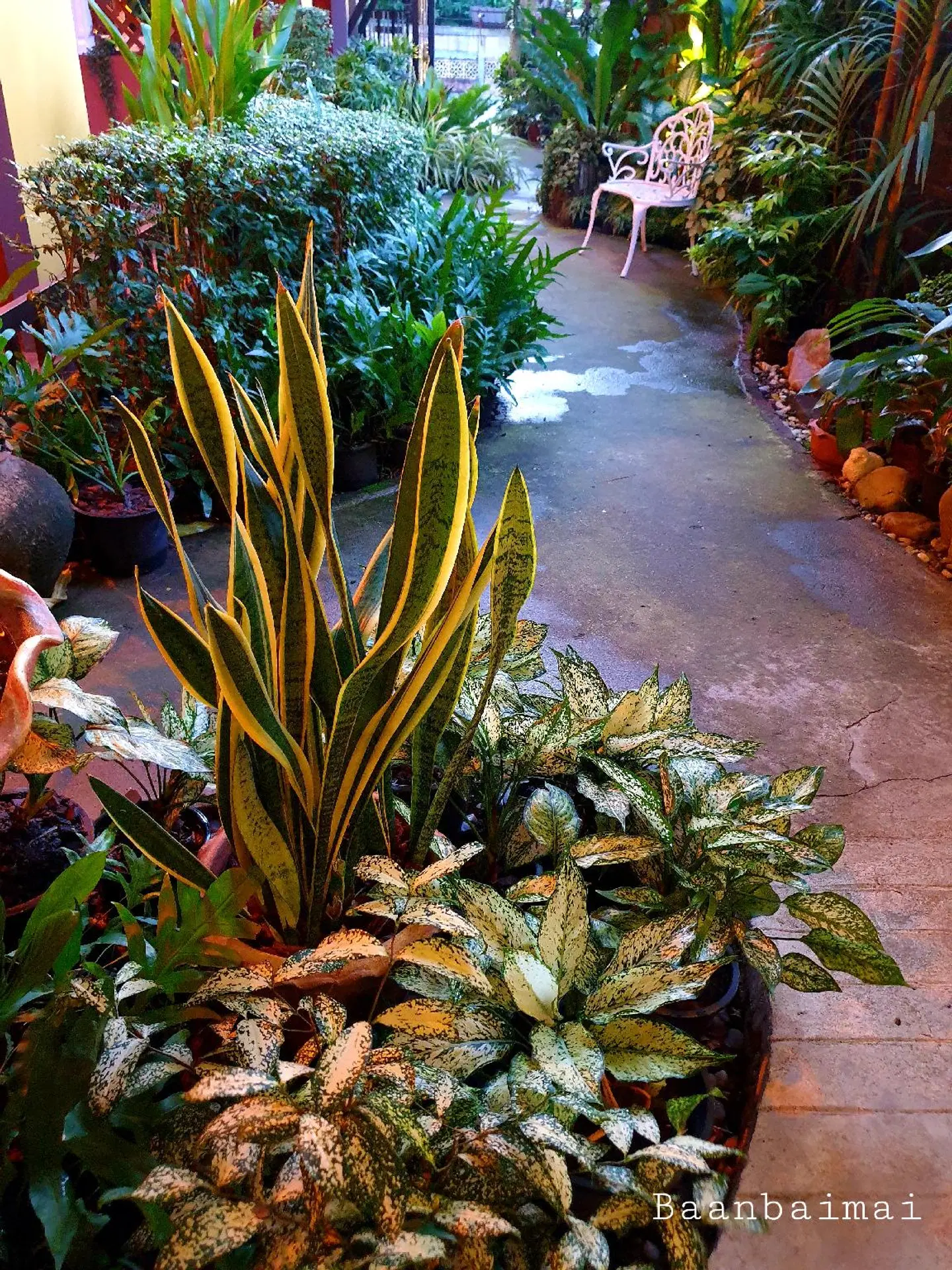 Baan Baimai Boutique Room Garten