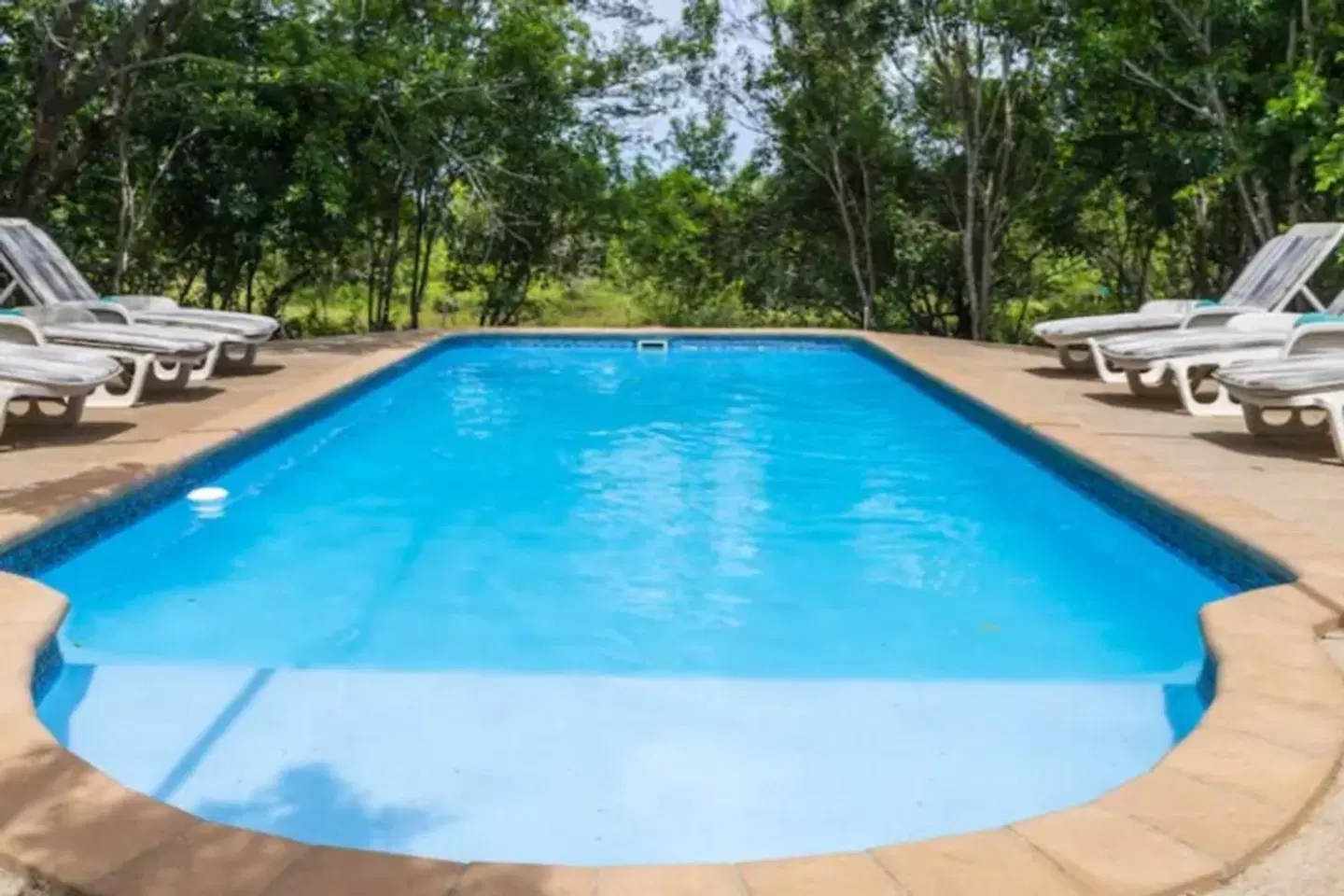 Leopard Walk Lodge OUTDOOR_POOL
