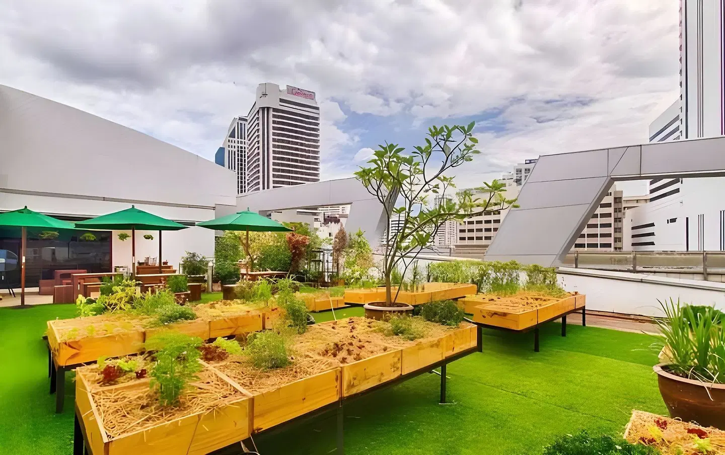 Hom Hostel & Cooking Club Garten
