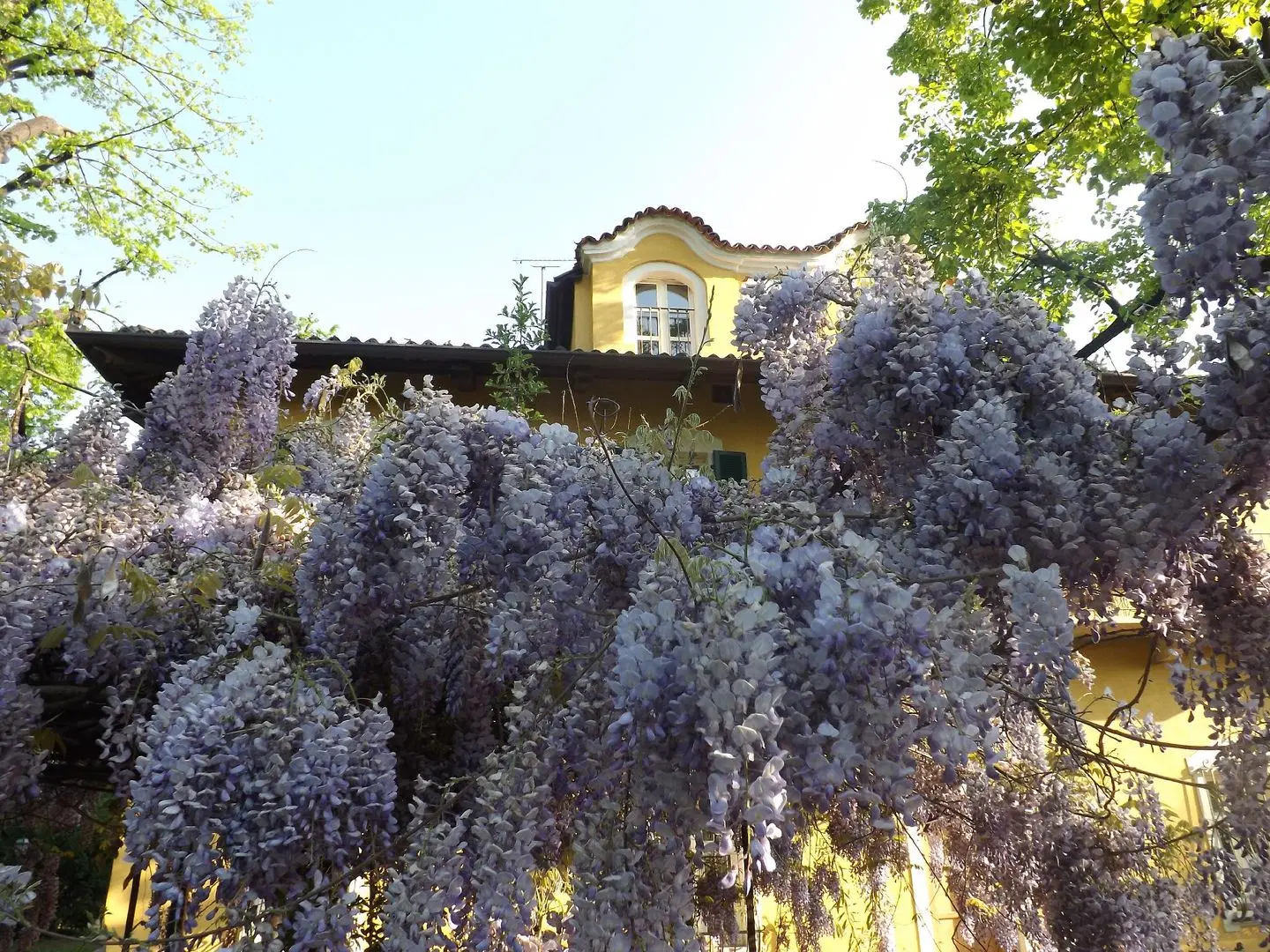 Villa Mirano bed & breakfast Tiere