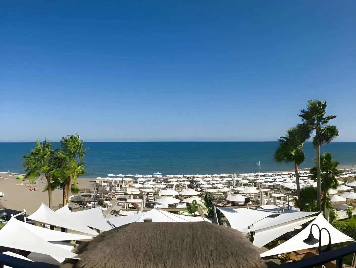 Playa Miguel Beach Club Strand