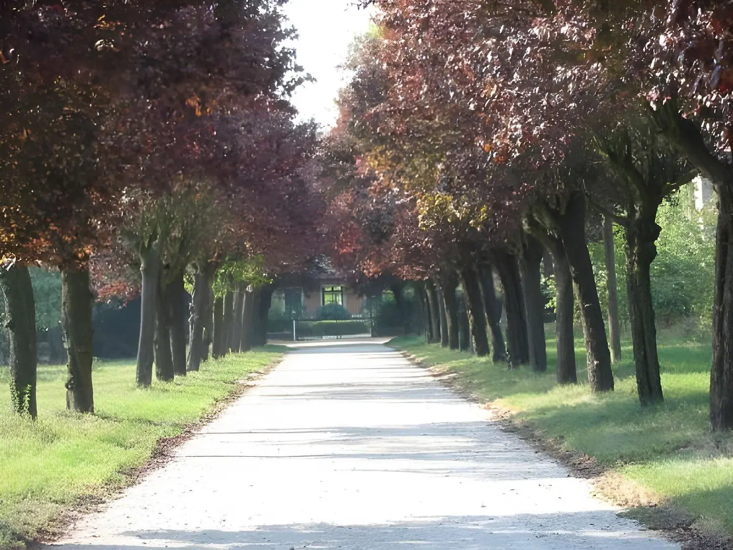 Agriturismo Villa Gropella Garten