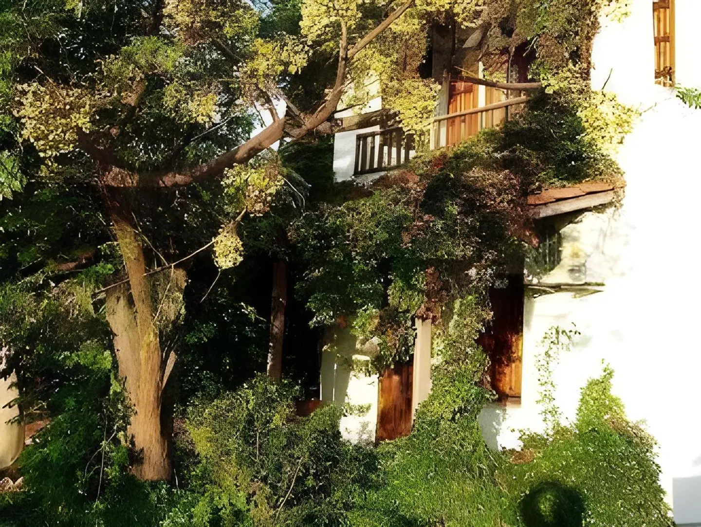 Korali Garten