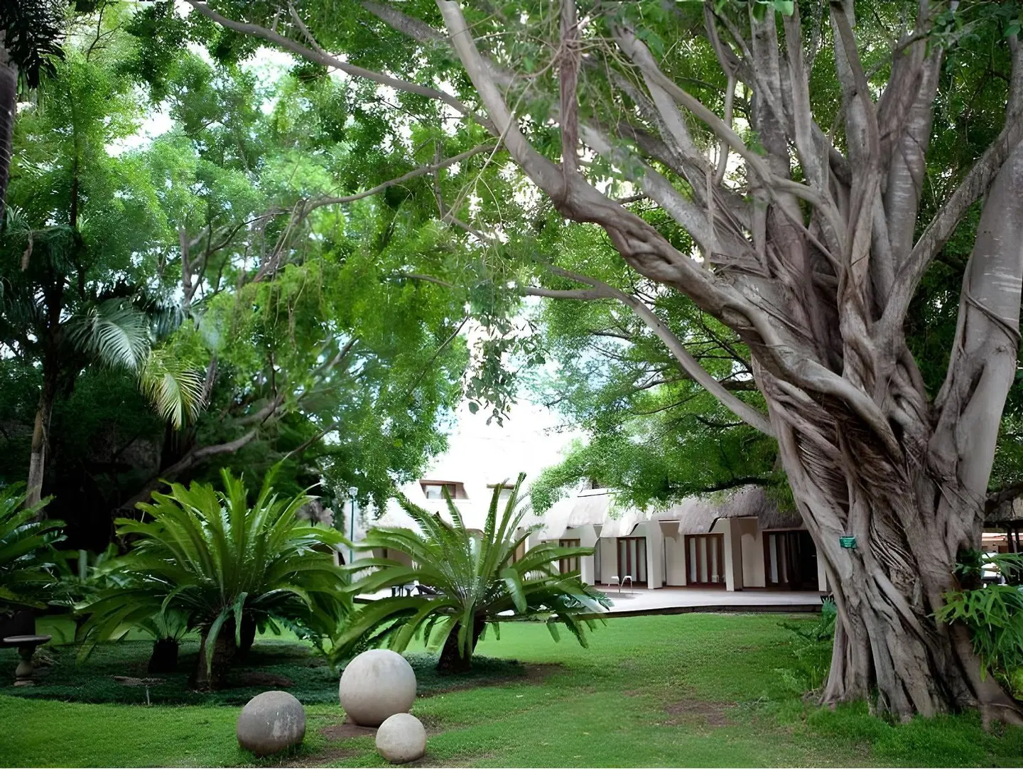 Pongola Country Lodge Garten