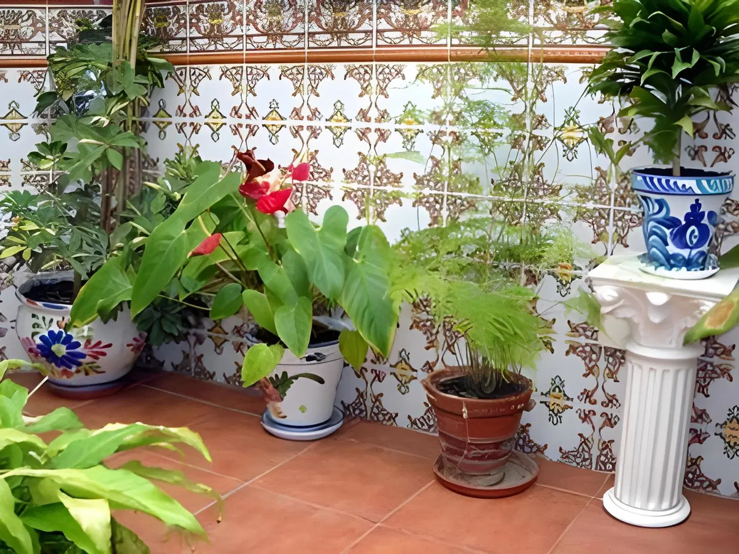 Hostal Andalucia Garten