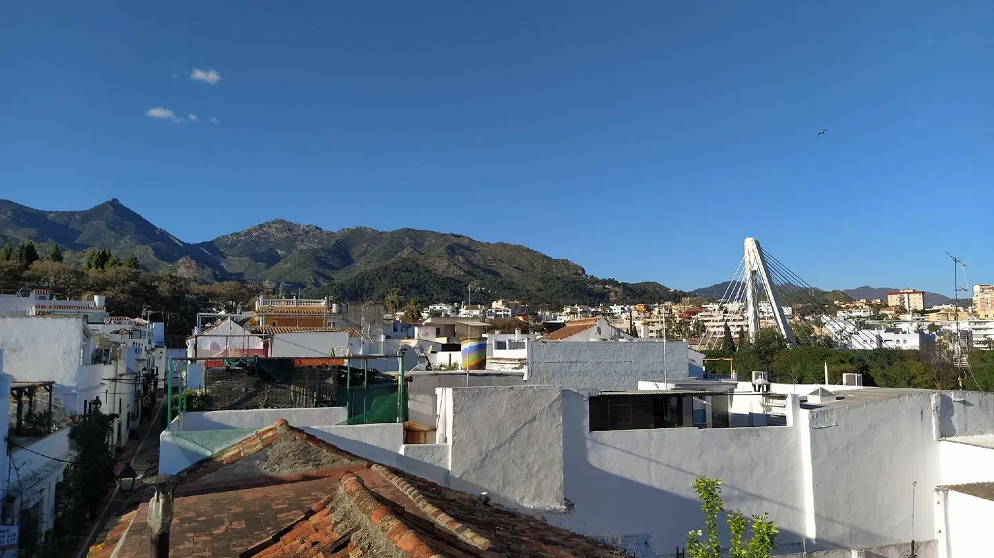 Hostal El Gallo Terrasse