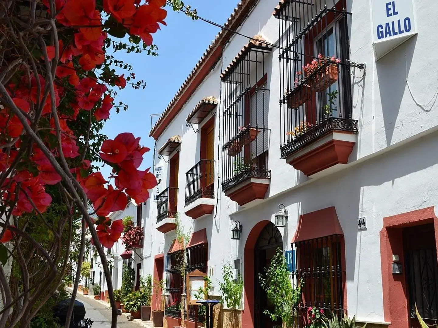 Hostal El Gallo EXTERIOR